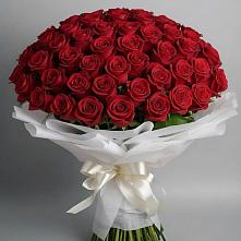 Букет 101 Красная роза Блэк Мэджик в Партените