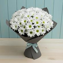 Букет цветов из:  Хризантемы #REPLACE_PRED# Партените