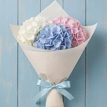 Букет цветов из:  Гортензия #REPLACE_PRED# Партените