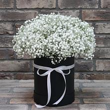 Цветочная композиция из Гипсофила в шляпной коробке #REPLACE_PRED# Партените