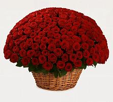 Премиум букет из: Розы в Партените